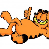 HIA talks land tax sense