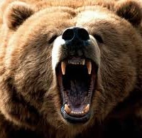 ABN Amro goes full Australian dollar bear