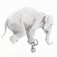 China’s monetary cycle is driven by real estate