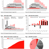 Another gold miner profile