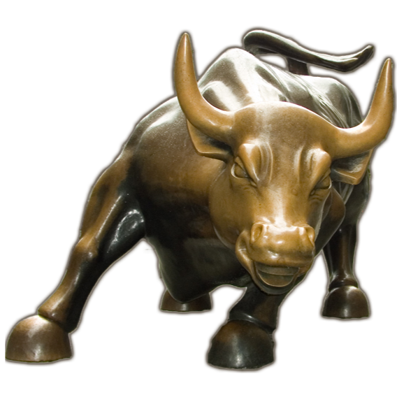 no bull, net worth