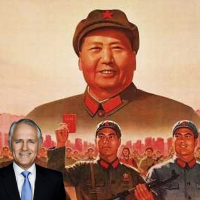 Did China buy Turnbull the election?