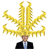 Do-nothing Malcolm cowardice embeds the gas cartel