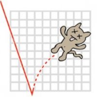 Beware the auction clearance dead cat bounce