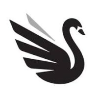 Here’s a Black Swan for ya: Trump does MMT