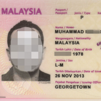 Malaysian scammers abuse Australia’s electronic visa system