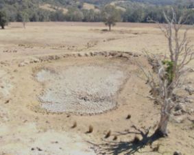 Morrison Government blames states for 'unimaginable' water crisis - MacroBusiness