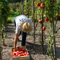 Farm visas are not the answer to labour shortages
