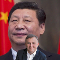 China mulls lifting coal ban as Aussie trade war backfires big