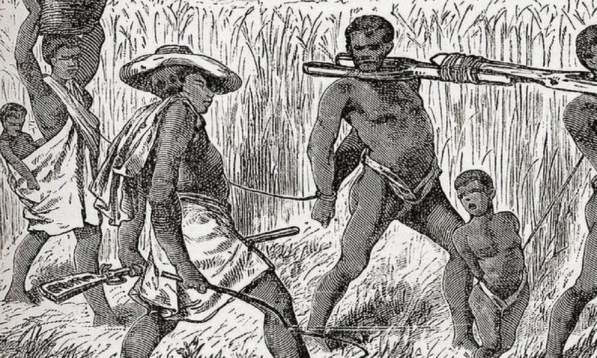 ABC demands foreign slave labour for the plantation.