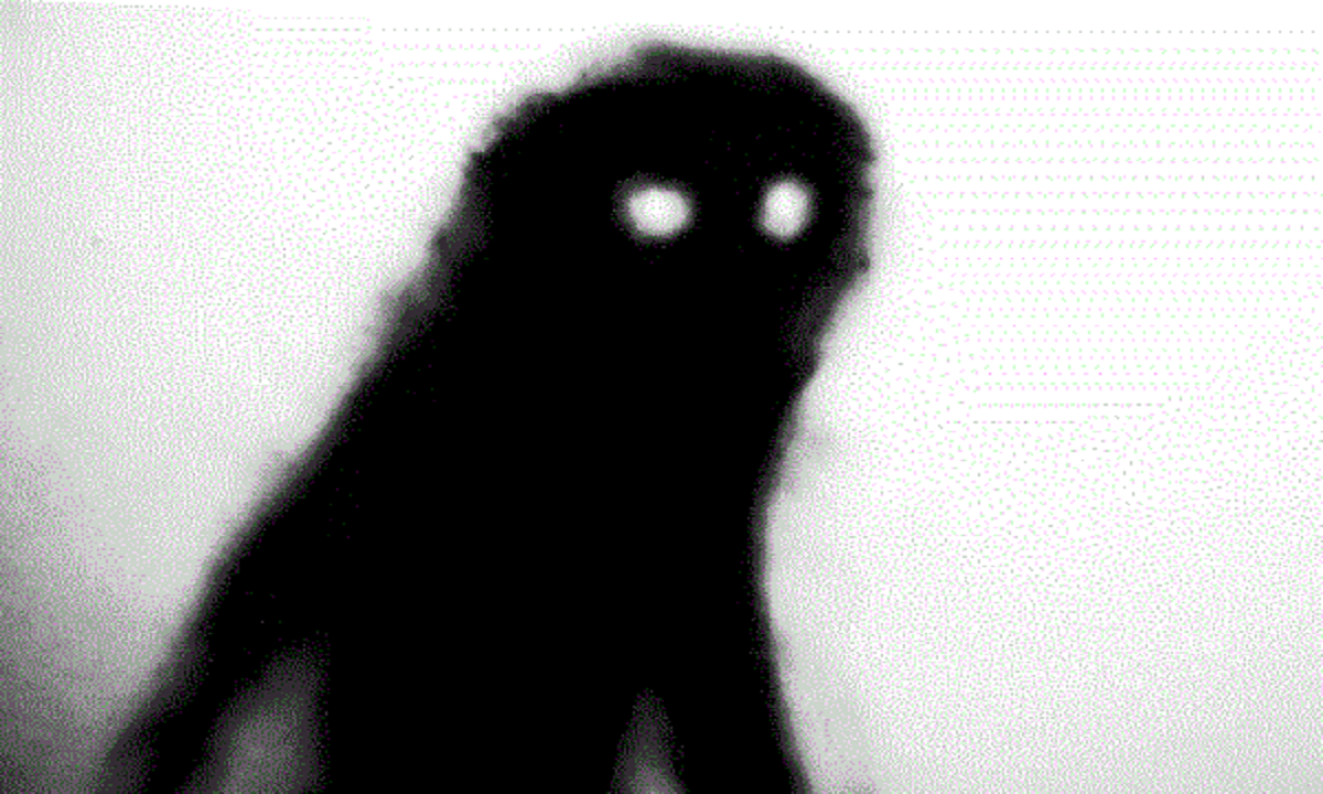 Shadow Raaaaaaar Shadow RBA finally catches down to the doves - MacroBusiness