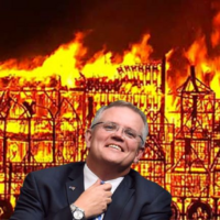 Morrison’s plague crashes polls