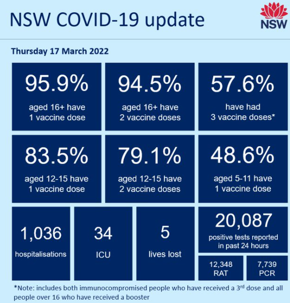 NSW COVID cases