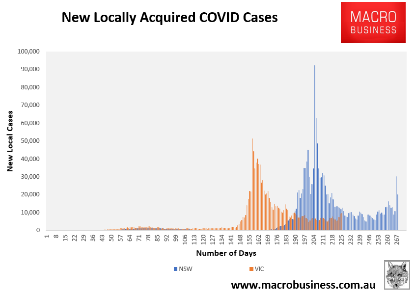 NSW and VIC daily COVID cases