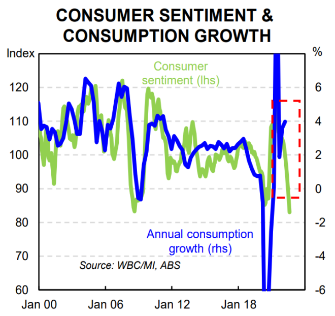 Consumer sentiment versus consumption