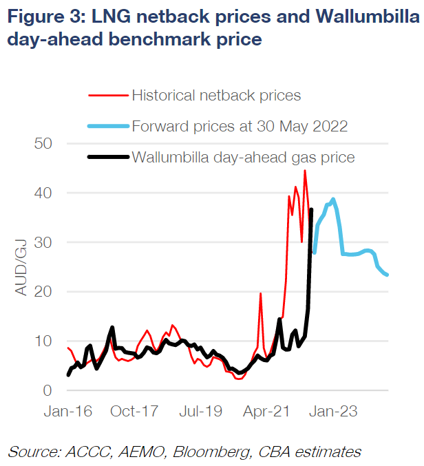 LNG netback