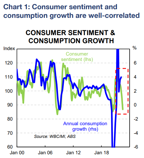 Consumer sentiment vs consumption