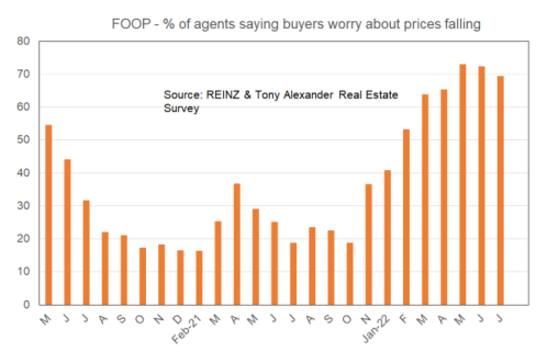 Kiwi fear of overpaying