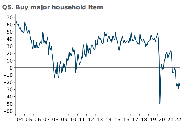 New Zealand buy a major household item