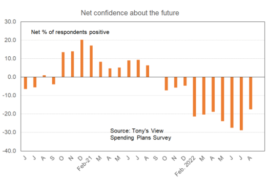 Kiwi confidence