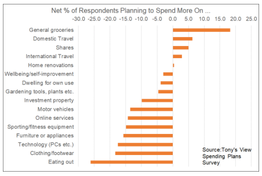 Kiwi spending by item