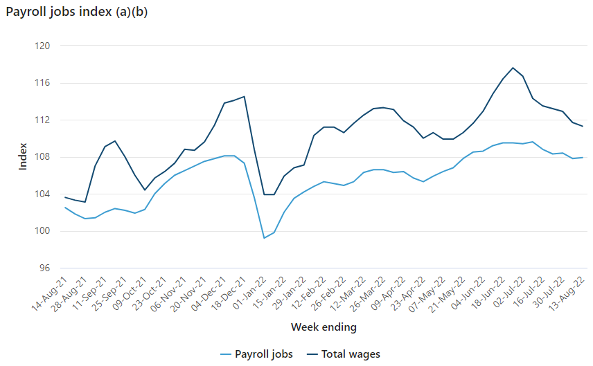 ABS: Fall in payroll jobs continues into August - MacroBusiness