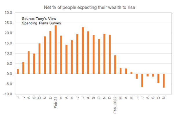 Kiwi wealth