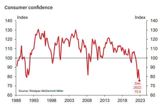 Consumer confidence index